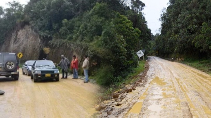 Radio Viva Fenix