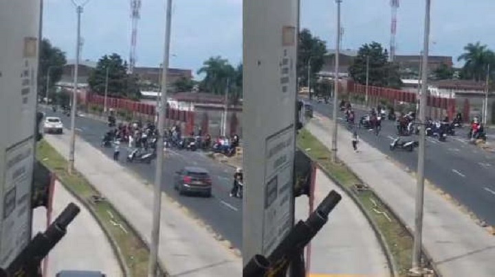 Radio Viva Fenix