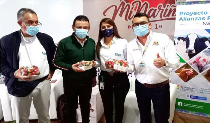 Radio Viva Fenix