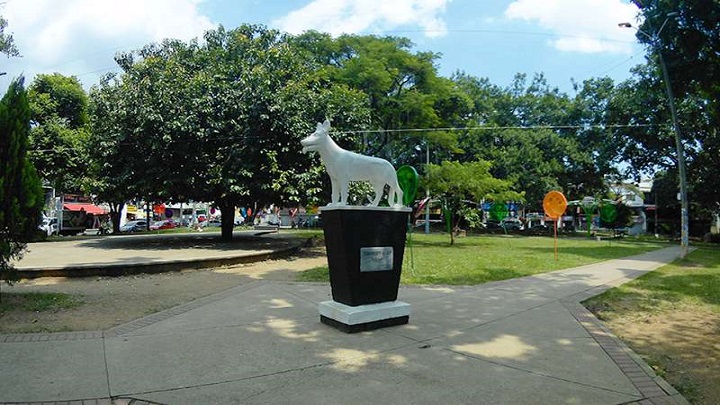 Radio Viva Fenix