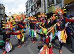 Radio Viva Fenix
