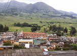 Radio Viva Fenix