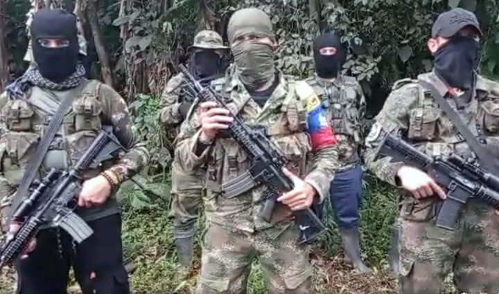 Radio Viva Fenix