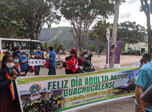 Radio Viva Fenix