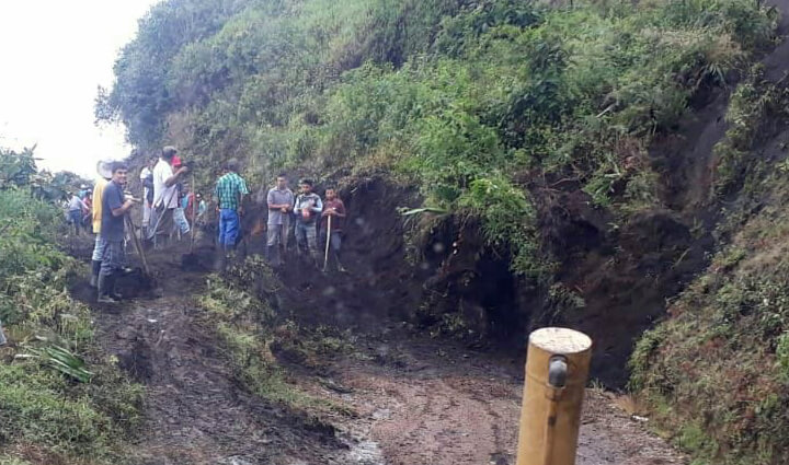 Radio Viva Fenix
