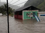Radio Viva Fenix