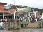 Radio Viva Fenix