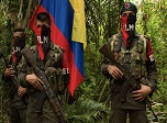 Radio Viva Fenix