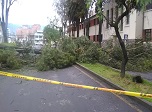 Radio Viva Fenix
