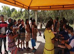 Radio Viva Fenix
