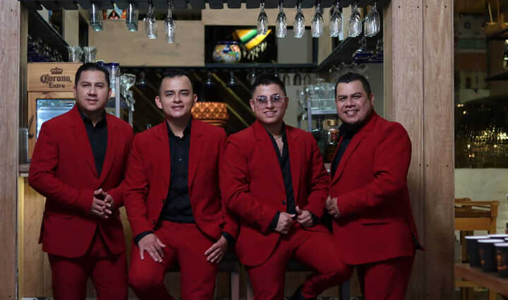 Radio Viva Fenix