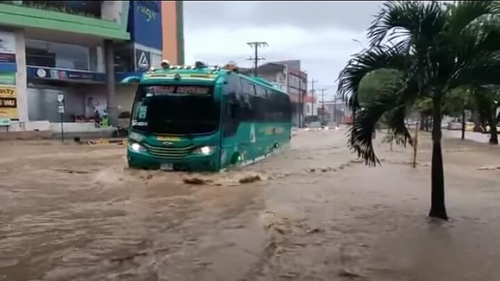 Radio Viva Fenix