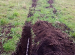 Radio Viva Fenix