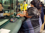 Radio Viva Fenix