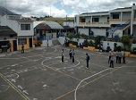 Radio Viva Fenix