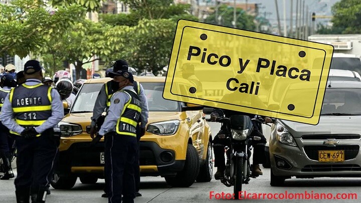 Radio Viva Fenix