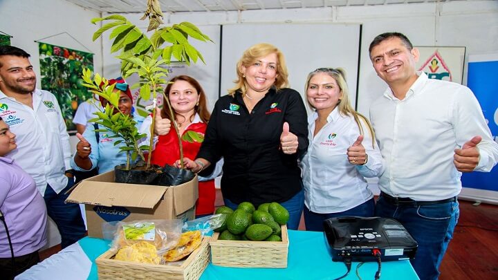 Radio Viva Fenix