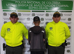 Radio Viva Fenix
