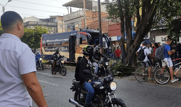 Radio Viva Fenix