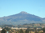 Radio Viva Fenix