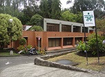 Radio Viva Fenix