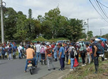 Radio Viva Fenix
