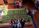 Radio Viva Fenix