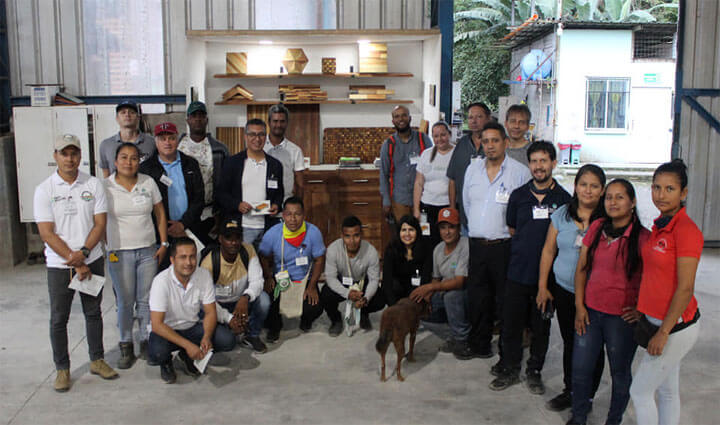 Radio Viva Fenix