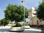 Radio Viva Fenix