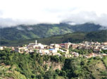 Radio Viva Fenix