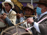 Radio Viva Fenix