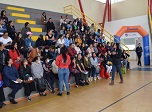 Radio Viva Fenix