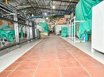 Radio Viva Fenix