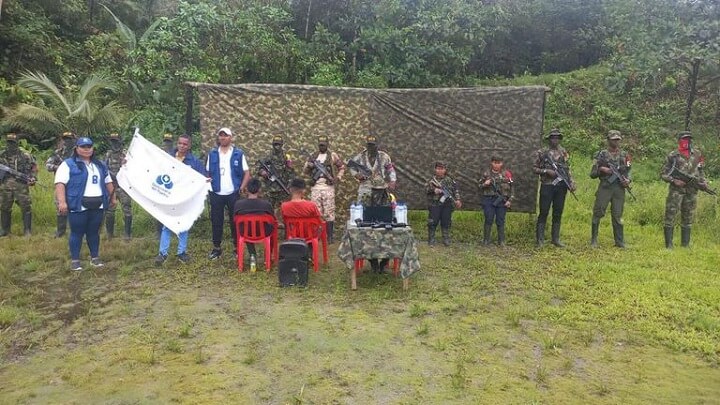Radio Viva Fenix