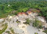 Radio Viva Fenix