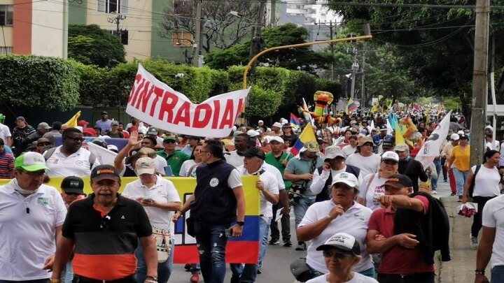 Radio Viva Fenix