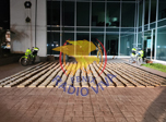 Radio Viva Fenix