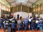 Radio Viva Fenix