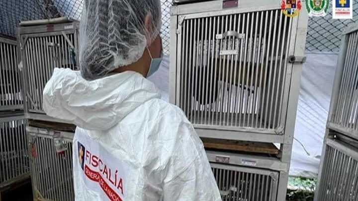 Radio Viva Fenix