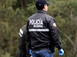 Radio Viva Fenix