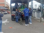 Radio Viva Fenix