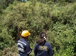 Radio Viva Fenix