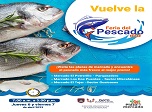 Radio Viva Fenix
