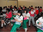 Radio Viva Fenix