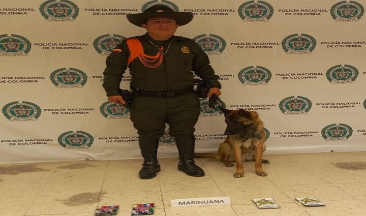Radio Viva Fenix