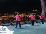Radio Viva Fenix