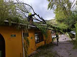 Radio Viva Fenix