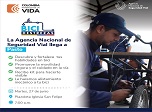Radio Viva Fenix