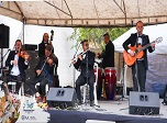 Radio Viva Fenix