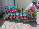 Radio Viva Fenix